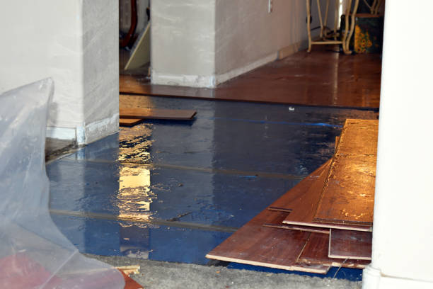 Professional Water Damage Restoration technician working in New Boston, MI