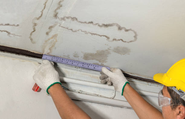 Reliable Water Damage Restoration contractor in New Boston, MI by Local Water Damage Repair